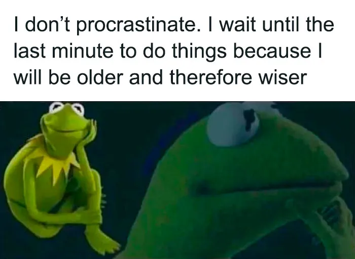 55 Kermit The Frog Memes That Might Make Your Day
