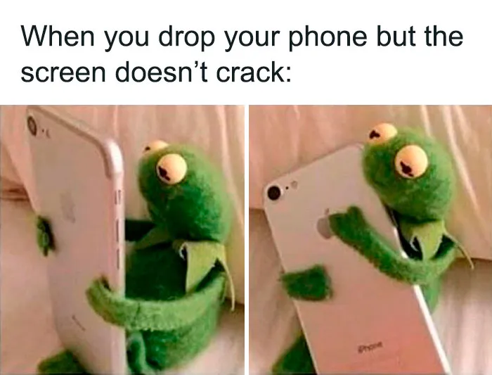 55 Kermit The Frog Memes That Might Make Your Day