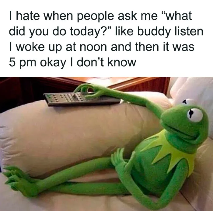 55 Kermit The Frog Memes That Might Make Your Day