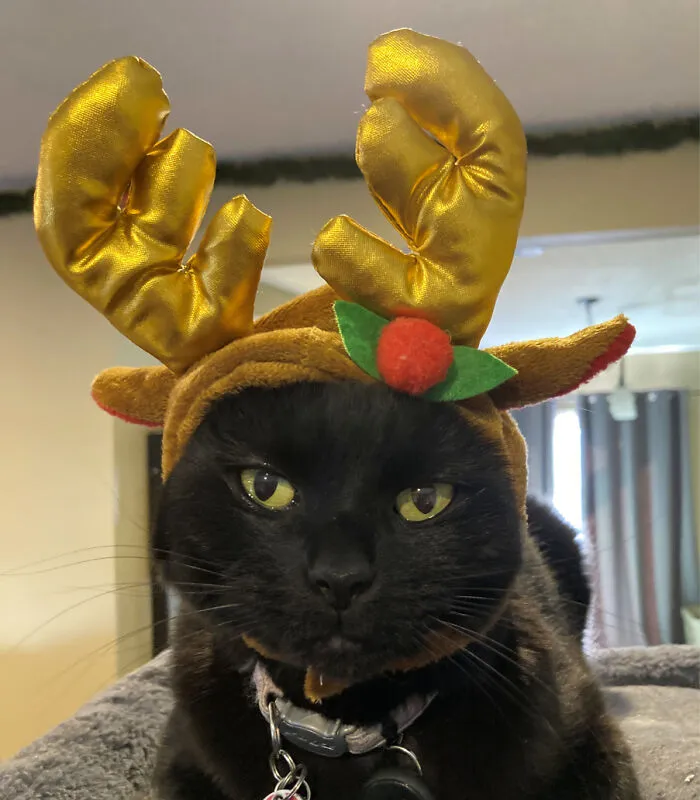 "It's Rough Being The Oldest Sometimes. You Have To Do Whatever It Takes To Make Sure The Little Ones Have Happy Holidays And Birthdays, Even If That Means Sacrificing Your Dignity." -Kohl, Age 7