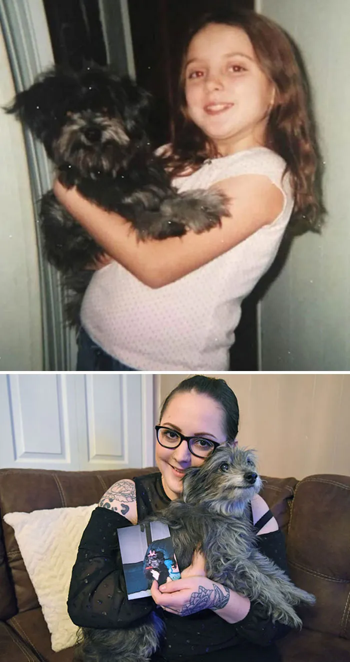 This Woman Adopted An Elderly Dog That Turned Out To Be The Very Same Dog She Had As A Child. A Microchip Scan Confirmed The Dog's Identity