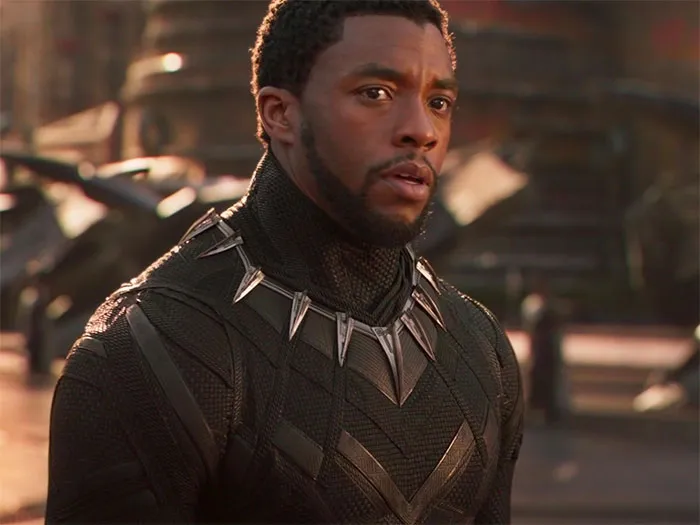 T’Challa in combat costume