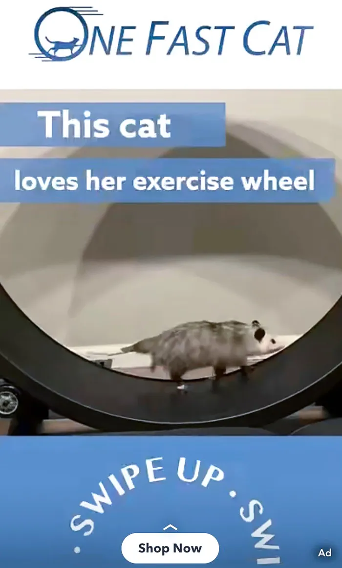 Encontré este anuncio en Snapchat. Miren a este gato
