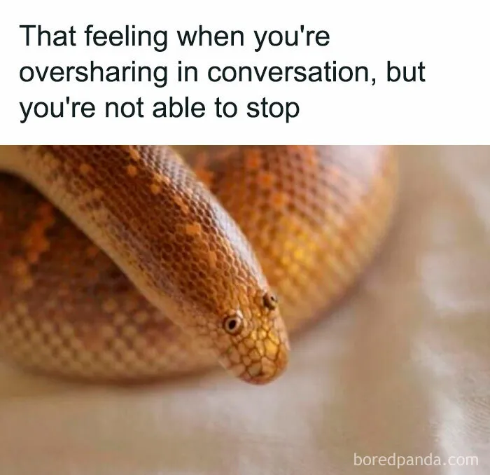 30 ‘Mental Health Memes’ That Even Your Therapist Might Find Funny