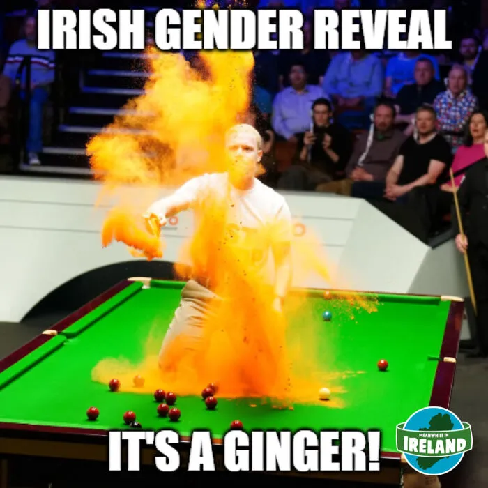 “Meanwhile In Ireland”: 50 Of The Funniest New Pics That Explain Why People Can't Get Enough Of Ireland