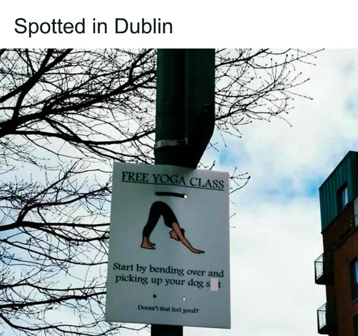 “Meanwhile In Ireland”: 50 Of The Funniest New Pics That Explain Why People Can't Get Enough Of Ireland
