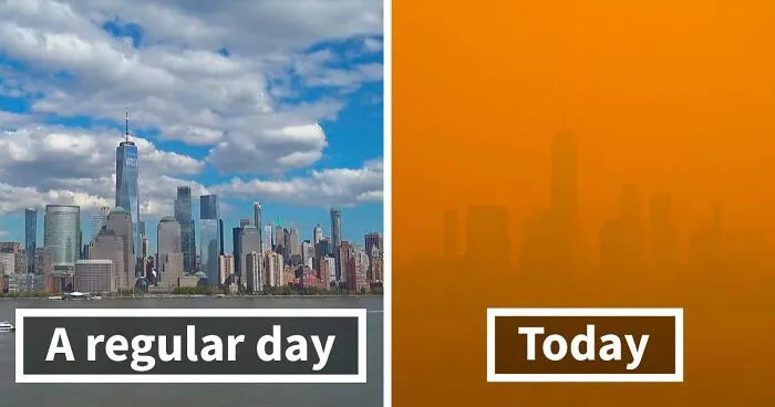 'Not An Apocalyptic Movie Scene': People Share What NYC Looks Like Right Now