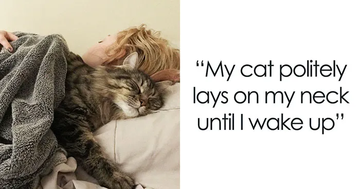 "I Have Most Of My Day Done By 8AM": 30 People Explain Why They Wake Up At 5AM