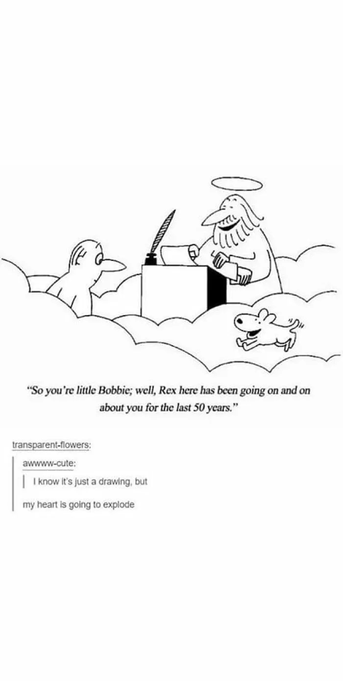 ‘Wait… This Is Wholesome’: 50 Memes To Brighten Your Mood And Restore Your Faith In Humanity