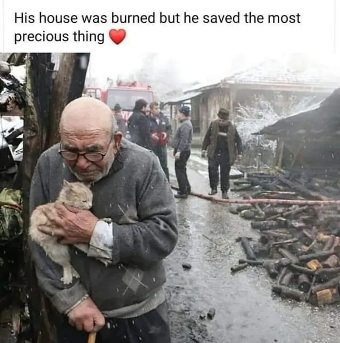 ‘Wait… This Is Wholesome’: 50 Memes To Brighten Your Mood And Restore Your Faith In Humanity