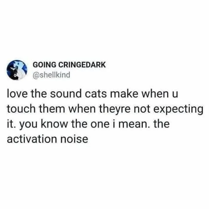 ‘Wait… This Is Wholesome’: 50 Memes To Brighten Your Mood And Restore Your Faith In Humanity
