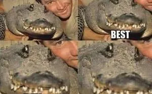 ‘Wait… This Is Wholesome’: 50 Memes To Brighten Your Mood And Restore Your Faith In Humanity