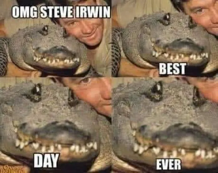 People-Share-Wholesome-Posts