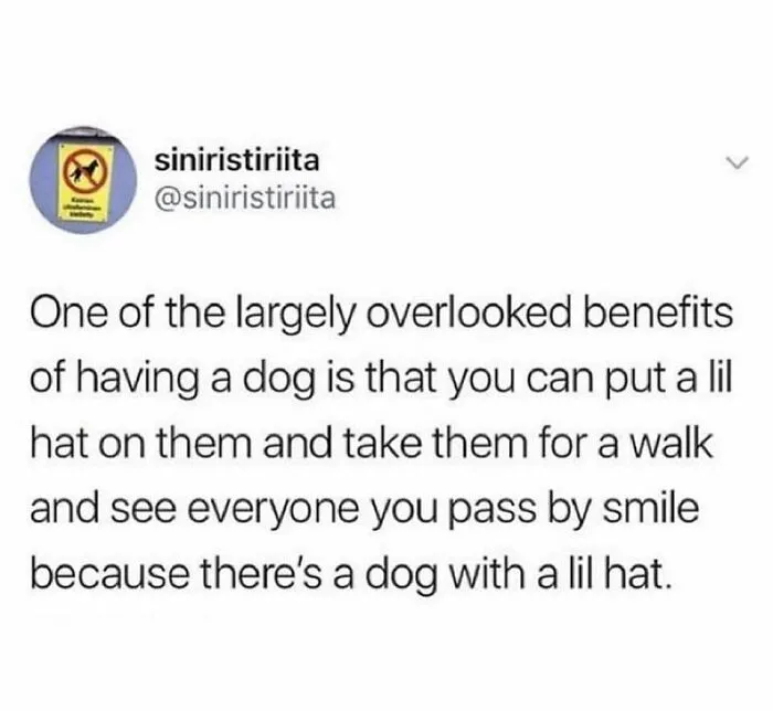 ‘Wait… This Is Wholesome’: 50 Memes To Brighten Your Mood And Restore Your Faith In Humanity