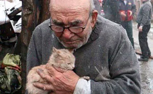 ‘Wait… This Is Wholesome’: 50 Memes To Brighten Your Mood And Restore Your Faith In Humanity