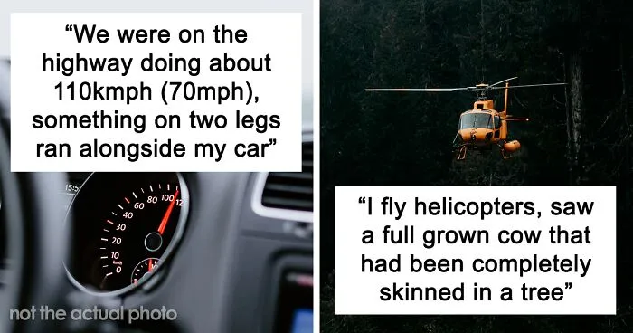 50 Chilling Stories From People Who Have Seen Things They Couldn’t Explain
