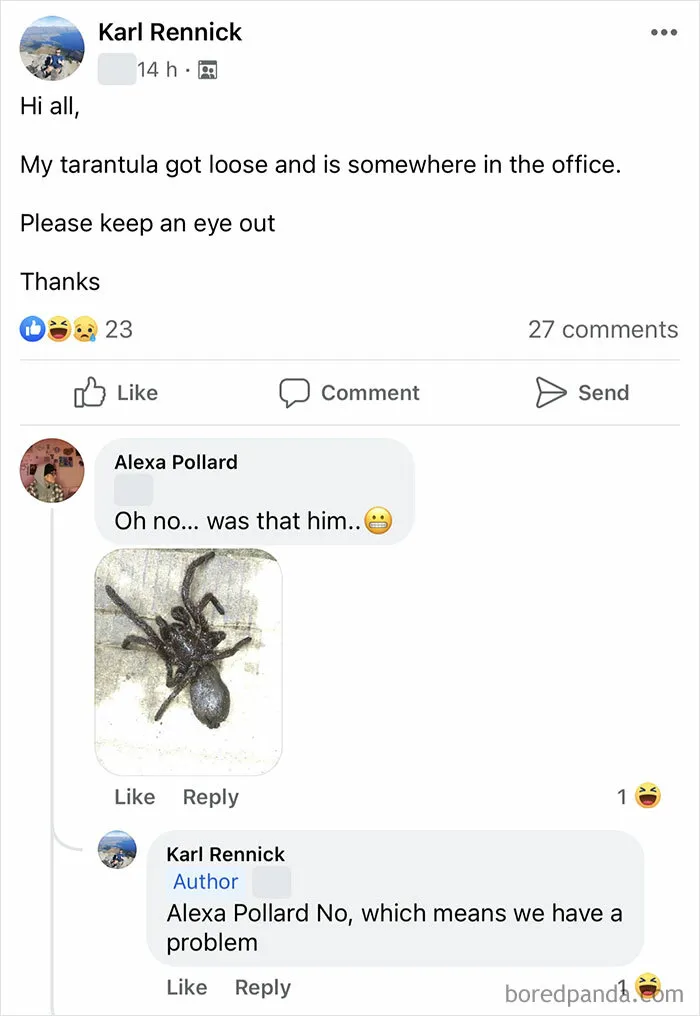 200,000 People On Facebook Decided To Roleplay A Dysfunctional Office Together, And It’s An Absolute Madhouse (30 Pics)