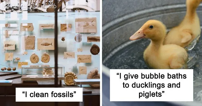 “People That Don’t Hate Their Jobs And Make A Decent Wage, What Do You Do?” (50 Answers)