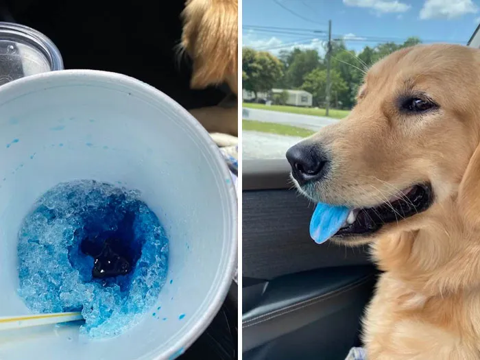 My Large Icy Was Full When I Went In The Store For 2 Minutes