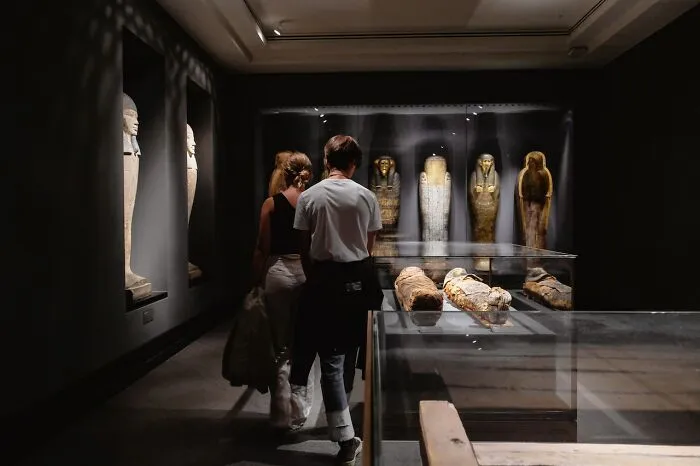 “The Average Number Of Human Skeletons Inside The Human Body Isn’t 1”: 30 Facts That Sound Fake But Are True, As Shared Online