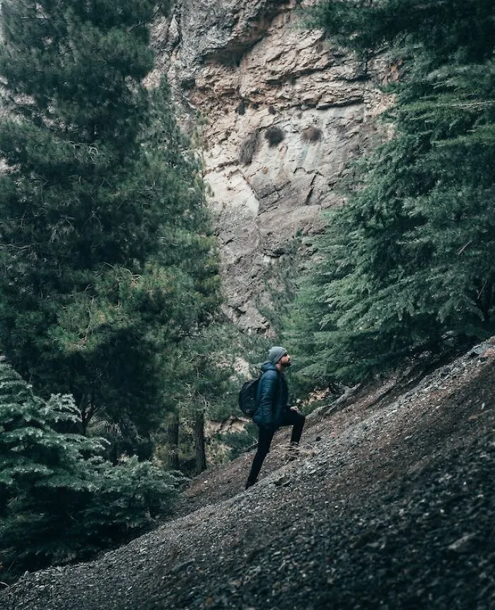 "Me encontré una oreja cortada": 20 historias aterradoras vividas por la gente en los bosques