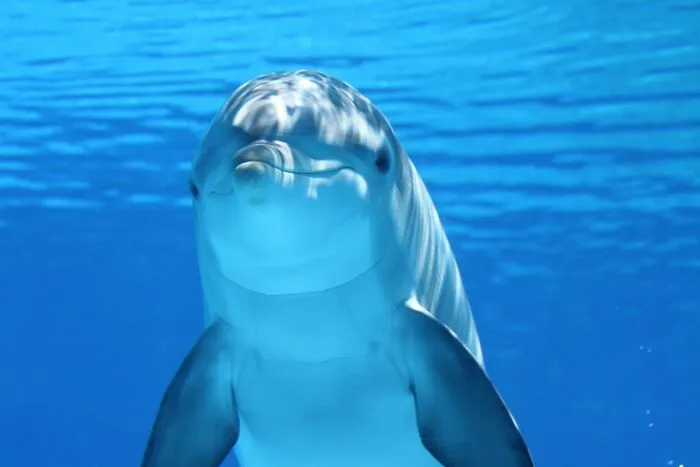 30 Facts That Sound Bizarre But Are Real, Shared By Folks In This Online Community