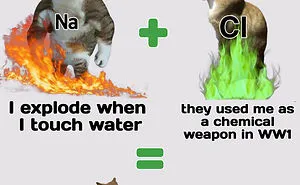 50 Of The Best Science Memes We Found On This Facebook Group