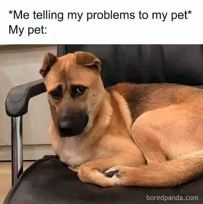 A Selection Of The Most Relatable Memes You’ll Find