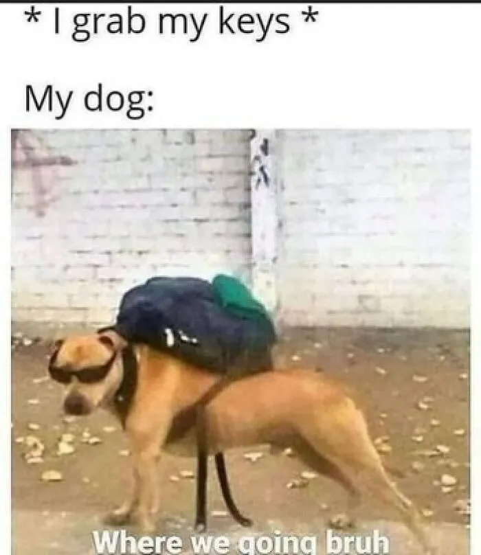 A Selection Of The Most Relatable Memes You’ll Find
