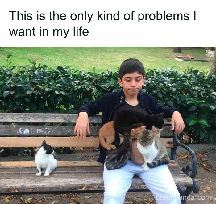 A Selection Of The Most Relatable Memes You’ll Find