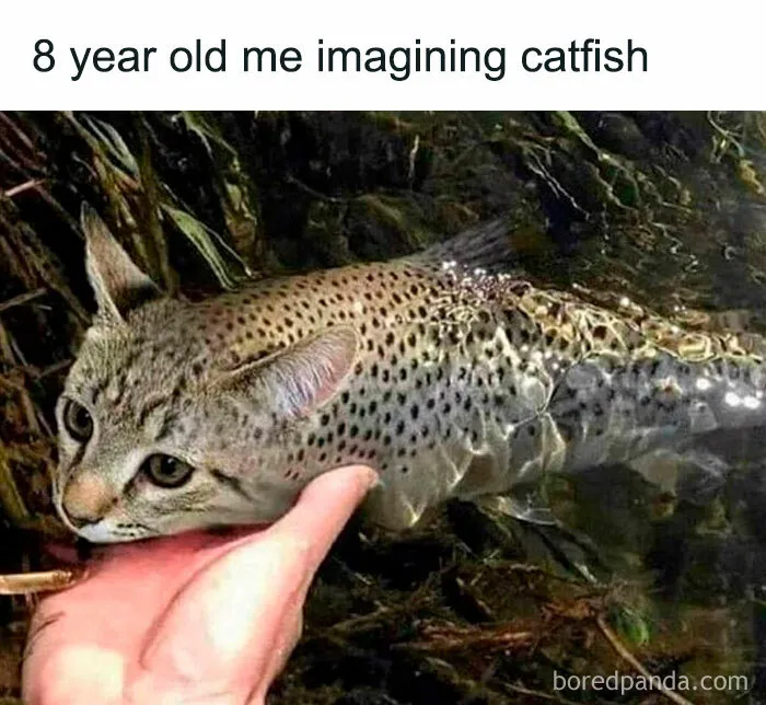 A Selection Of The Most Relatable Memes You’ll Find