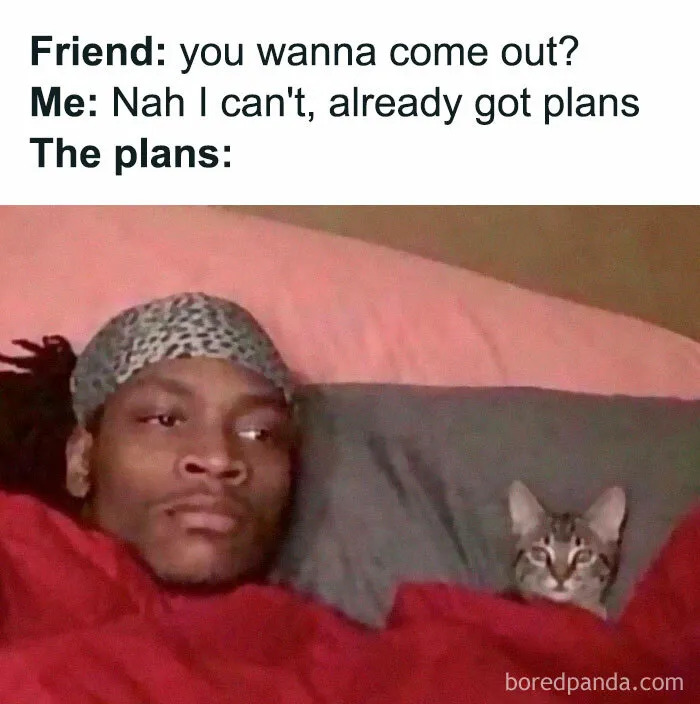 A Selection Of The Most Relatable Memes You’ll Find