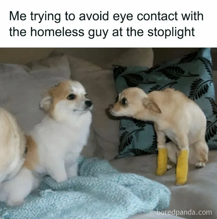 A Selection Of The Most Relatable Memes You’ll Find