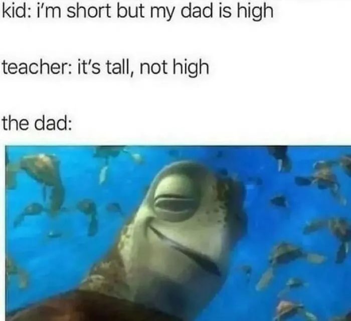 A Selection Of The Most Relatable Memes You’ll Find