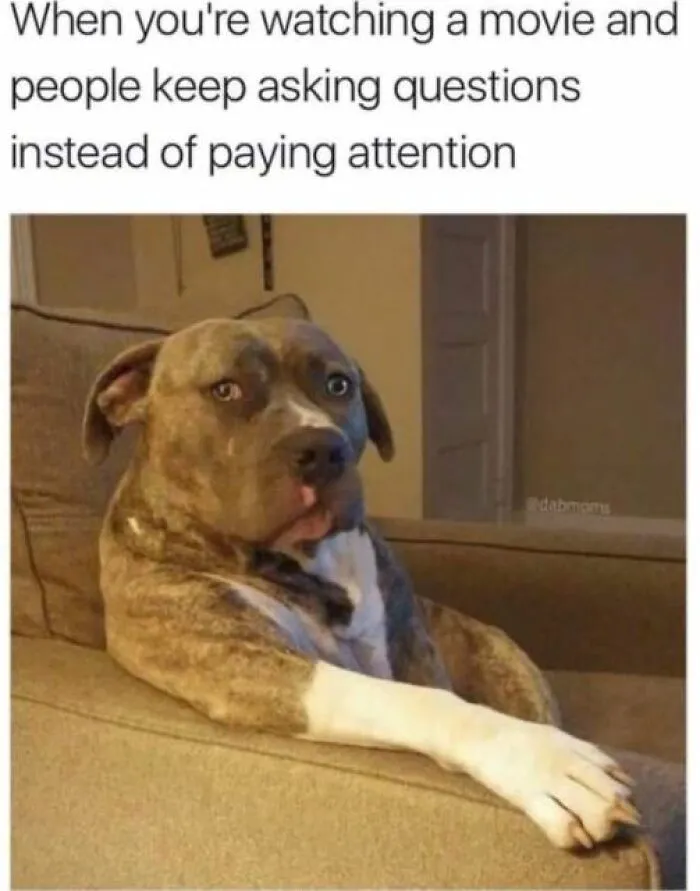 A Selection Of The Most Relatable Memes You’ll Find