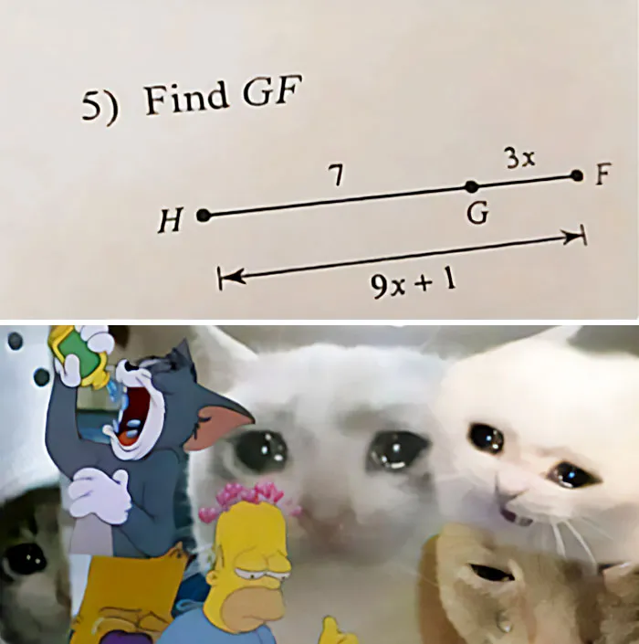 Math question joke asking to "Find GF" with crying cat memes for humor; part of science memes collection.