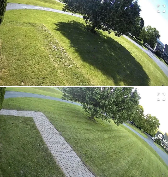 Unearthed My Overgrown Front Path