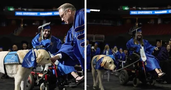 Video Showing A Service Dog Receiving A Diploma Alongside Owner With Disability Wins The Internet’s Hearts