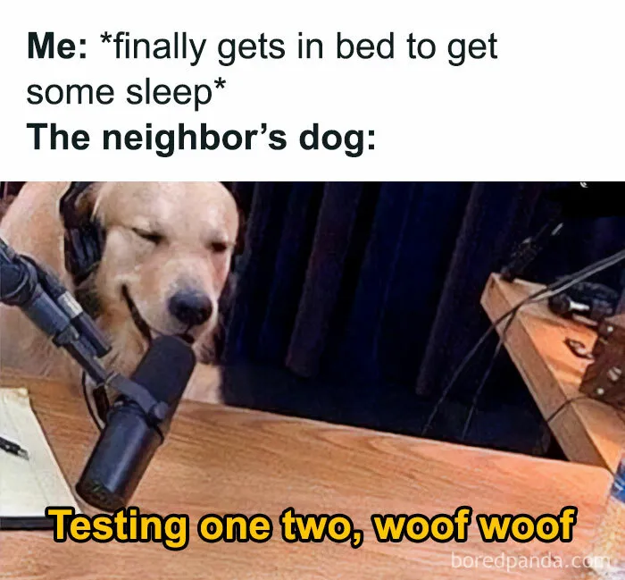 50 Memes That Show Just How "Basic" And Similar We All Are