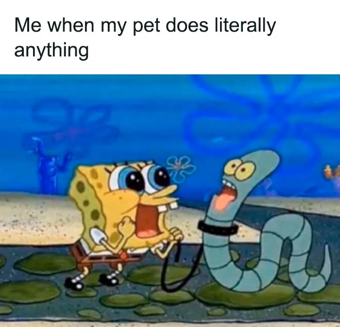 79 SpongeBob Memes That Are Way Too Relatable