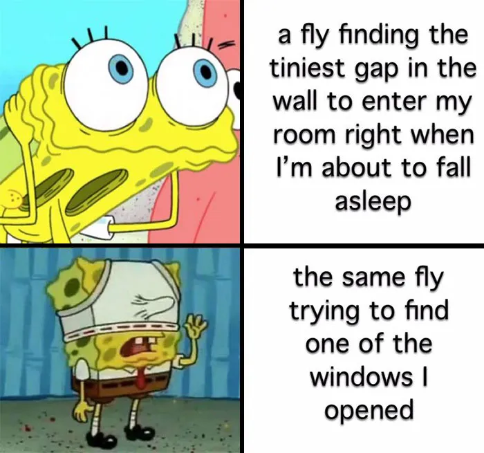 79 SpongeBob Memes That Are Way Too Relatable