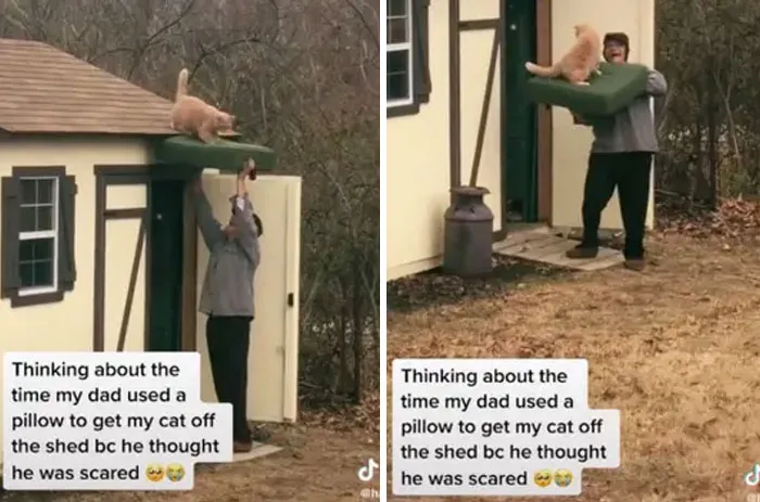 45 Of The Sweetest Family Moments To Bring A Dose Of Wholesomeness To Your Day