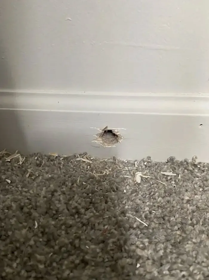 Esta mañana me desperté y había un agujero de taladro desde fuera de mi edificio hacia mi dormitorio