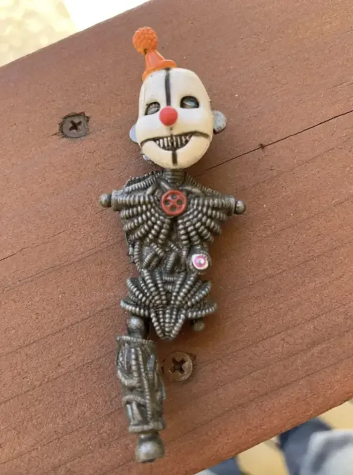 Mi madre encontró esto mientras limpiaba el patio de hojas en nuestra casa nueva