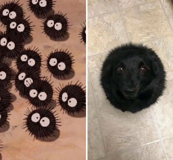 20 Divertidos memes para los fans de Studio Ghibli