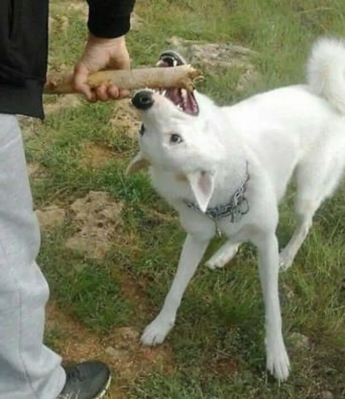 45 'Cursed Images' That Might Make You Facepalm Or Laugh, As Shared On This Facebook Page
