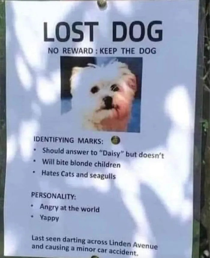 50 Of The Best Rare And Unusual And Funny Signs