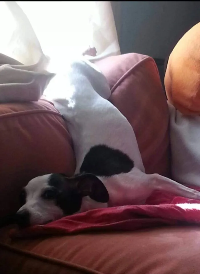 This Is How I Sleep