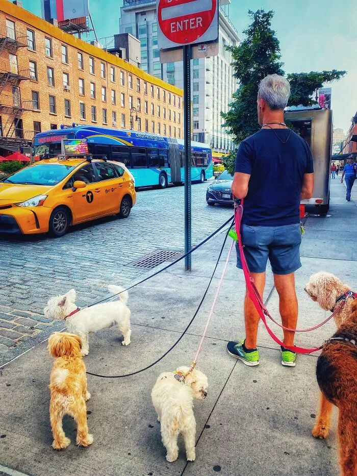 Chelsea NYC
