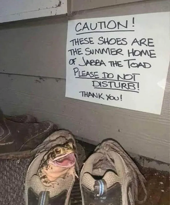 50 Of The Best Rare And Unusual And Funny Signs